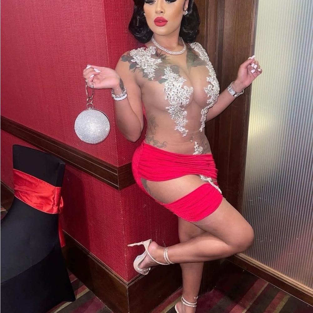 Red and Silver Sheer Dress - Picture 2 of 6